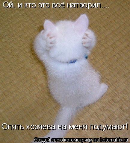 Котоматрица: Ой, и кто это всё натворил.... Опять хозяева на меня подумают!