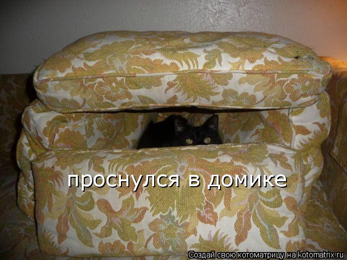 Котоматрица: проснулся в домике