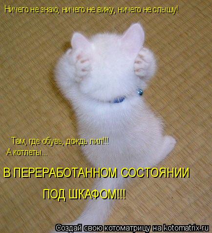 Котоматрица: Ничего не знаю, ничего не вижу, ничего не слышу! Там, где обувь, дождь лил!!! А котлеты...  В ПЕРЕРАБОТАННОМ СОСТОЯНИИ ПОД ШКАФОМ!!!