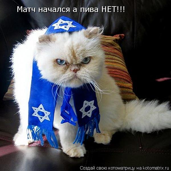 Котоматрица: Матч начался а пива НЕТ!!!