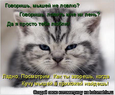 Котоматрица: Говоришь, мышей не ловлю?  Говоришь, ловить мне их лень? Да я просто тебя люблю! Ладно. Посмотрим. Как ты заорешь, когда  Кучу мышей в прихожей 