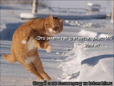 Котоматрица: Это земля так шатается, ужас. ИК! Или я?