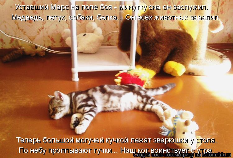 Уставший Марс на поле боя - минутку сна он заслужил. Медведь, петух, собаки, белка... Он всех животны... Котоматрица: Уставший Марс на поле боя - минутку сна он заслужил. Медведь, петух, собаки, белка... Он всех животных завалил. Теперь большой могучей кучкой л
