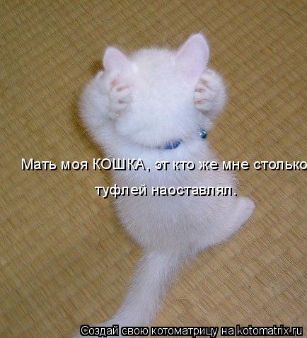 Котоматрица: Мать моя КОШКА, эт кто же мне столько  туфлей наоставлял.