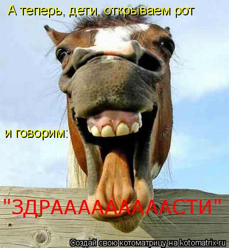 Котоматрица: А теперь, дети, открываем рот  и говорим:  "ЗДРАААААААААСТИ"