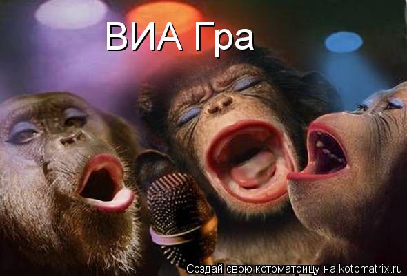 Котоматрица: ВИА Гра