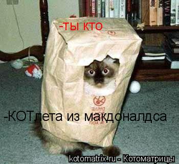 Котоматрица: -ты кто -КОТлета из макдоналдса