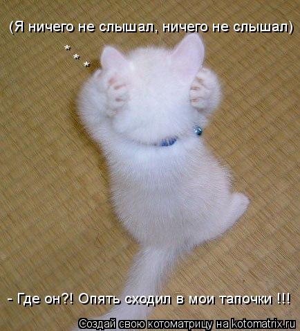 Котоматрица: - Где он?! Опять сходил в мои тапочки !!! * * * (Я ничего не слышал, ничего не слышал)