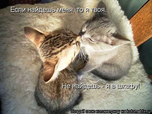 Котоматрица: Если найдешь меня, то я твоя.  Не найдешь - я в шкафу!