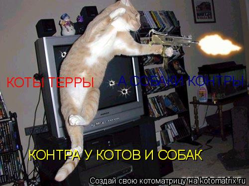 Котоматрица: КОНТРА У КОТОВ И СОБАК КОТЫ ТЕРРЫ А СОБАКИ КОНТРЫ
