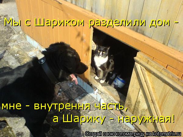 Мы с Шариком разделили дом - мне - внутрення часть, а Шарику - наружная!... Котоматрица: Мы с Шариком разделили дом - мне - внутрення часть, а Шарику - наружная!