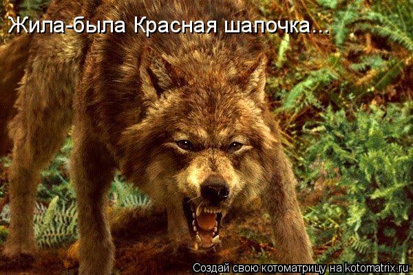 Котоматрица: Жила-была Красная шапочка...