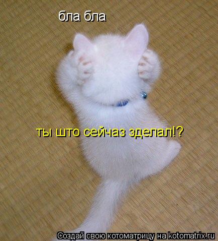 Котоматрица: бла бла ты што сейчаз зделал!?