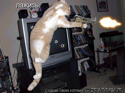 Котоматрица: лажись