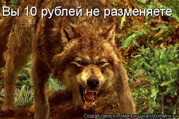 Котоматрица: Вы 10 рублей не разменяете