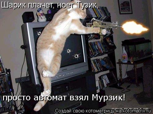 Котоматрица: Шарик плачет, ноет Тузик, просто автомат взял Мурзик!