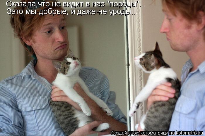 Сказала,что не видит в нас "породы"... Зато мы-добрые, и даже-не уроды...... Котоматрица: Сказала,что не видит в нас "породы"... Зато мы-добрые, и даже-не уроды...