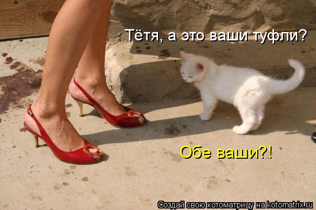Котоматрица: Тётя, а это ваши туфли? Обе ваши?!