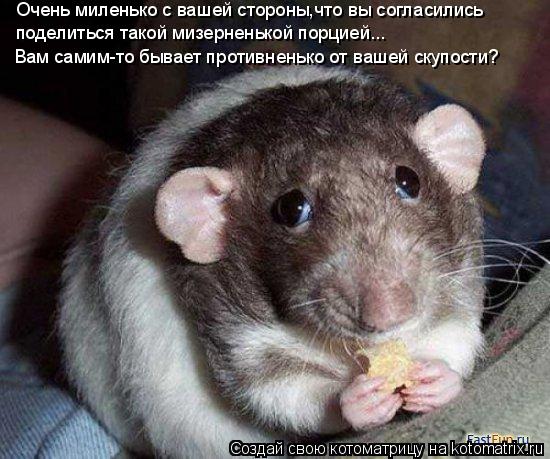 Котоматрица: Очень миленько с вашей стороны,что вы согласились поделиться такой мизерненькой порцией...  Вам самим-то бывает противненько от вашей скупо