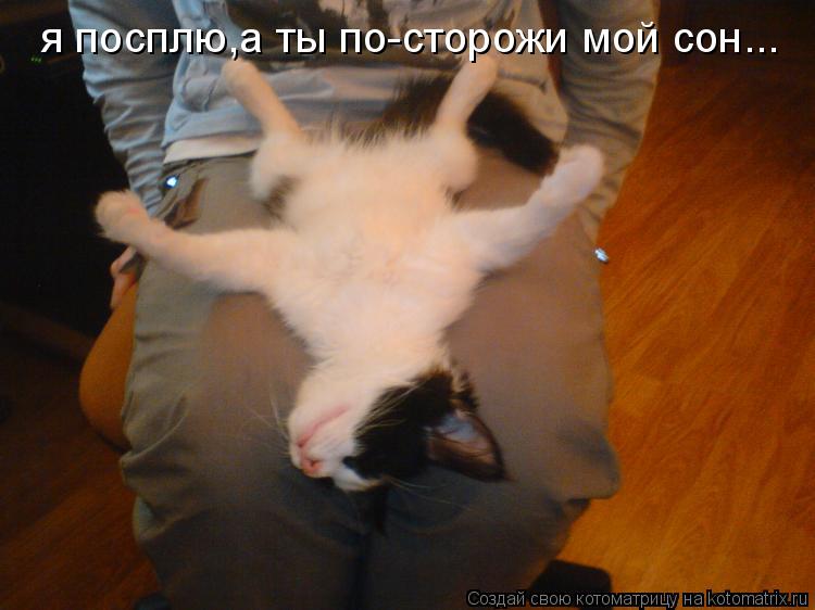 Котоматрица: я посплю,а ты по-сторожи мой сон...