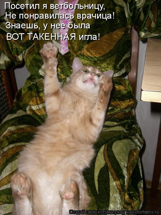 Посетил я ветбольницу, Не понравилась врачица! Знаешь, у нее была ВОТ ТАКЕННАЯ игла!... Котоматрица: Посетил я ветбольницу, Не понравилась врачица! Знаешь, у нее была ВОТ ТАКЕННАЯ игла!