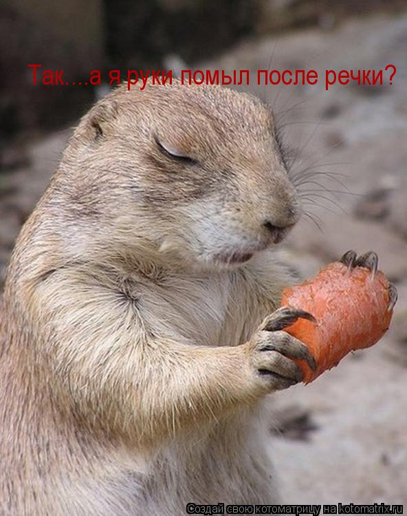 Котоматрица: Так....а я руки помыл после речки?