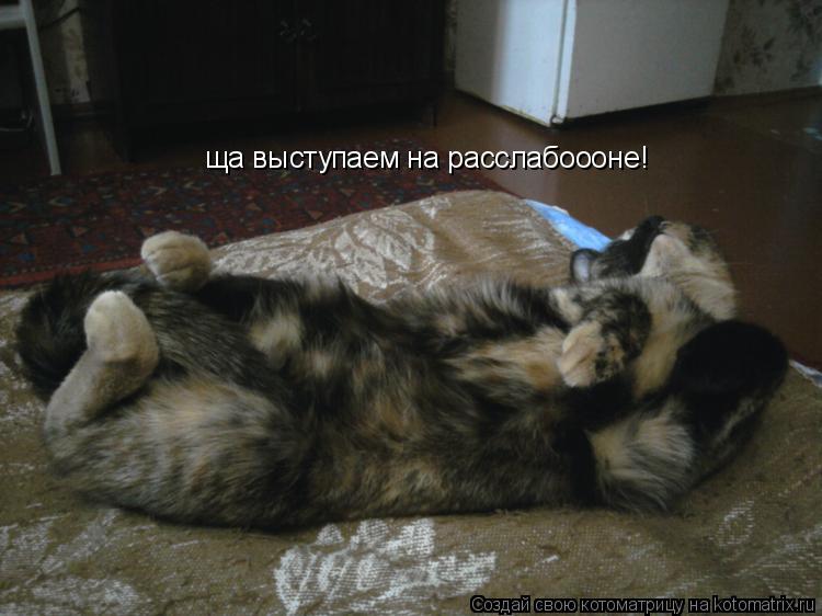 Котоматрица: ща выступаем на расслабоооне!