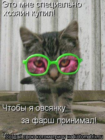Котоматрица: Это мне специально хозяин купил! Чтобы я овсянку за фарш принимал!