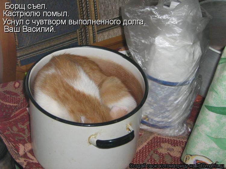 Борщ съел. Кастрюлю помыл. Уснул с чувтворм выполненного долга. Ваш Василий.... Котоматрица: Борщ съел. Кастрюлю помыл. Уснул с чувтворм выполненного долга. Ваш Василий.