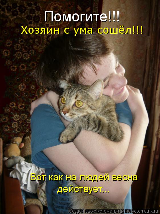 Котоматрица: Помогите!!! Хозяин с ума сошёл!!! Вот как на людей весна  действует...
