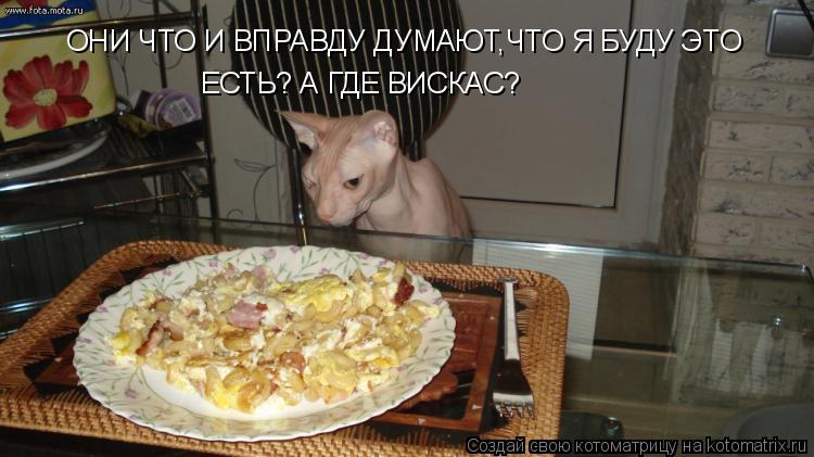 Котоматрица: ОНИ ЧТО И ВПРАВДУ ДУМАЮТ,ЧТО Я БУДУ ЭТО ЕСТЬ? А ГДЕ ВИСКАС?