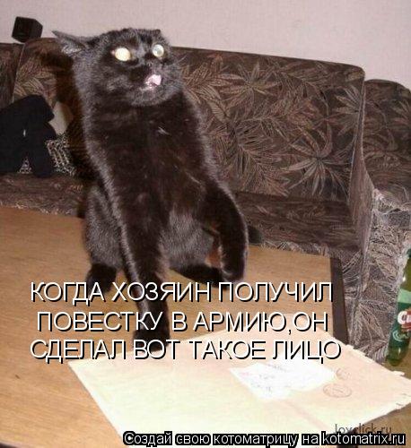 Котоматрица: КОГДА ХОЗЯИН ПОЛУЧИЛ ПОВЕСТКУ В АРМИЮ,ОН СДЕЛАЛ ВОТ ТАКОЕ ЛИЦО