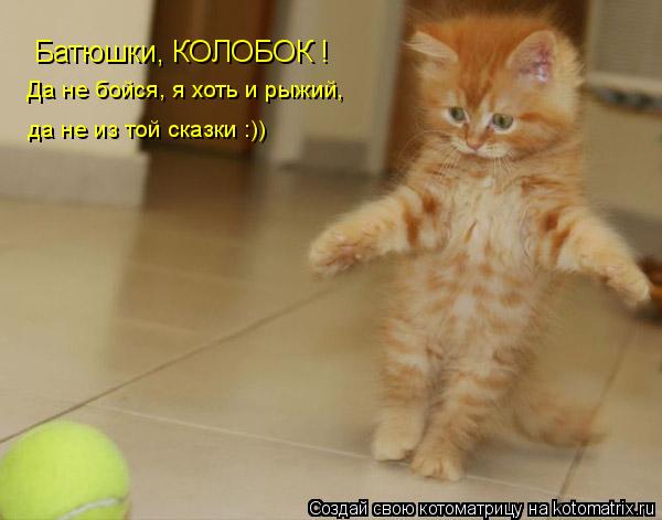 Котоматрица: Батюшки, КОЛОБОК ! Да не бойся, я хоть и рыжий,  да не из той сказки :))