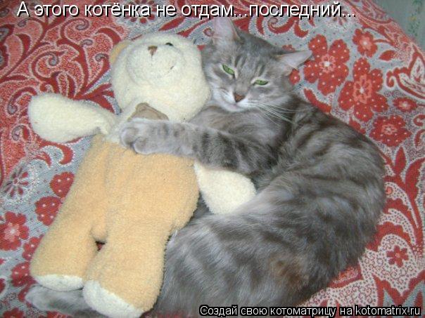 Котоматрица: А этого котёнка не отдам...последний...