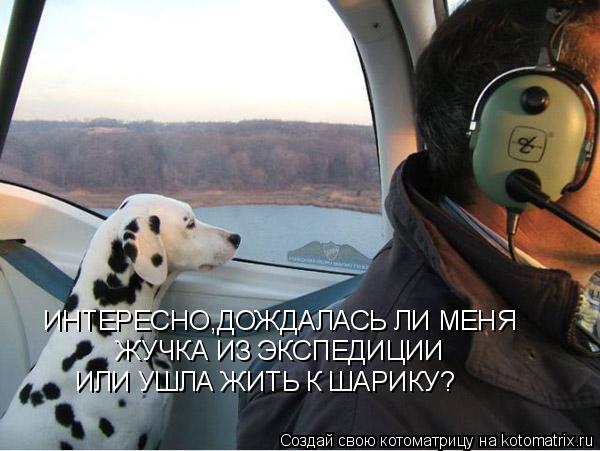 Котоматрица: ИНТЕРЕСНО,ДОЖДАЛАСЬ ЛИ МЕНЯ ЖУЧКА ИЗ ЭКСПЕДИЦИИ ИЛИ УШЛА ЖИТЬ К ШАРИКУ?
