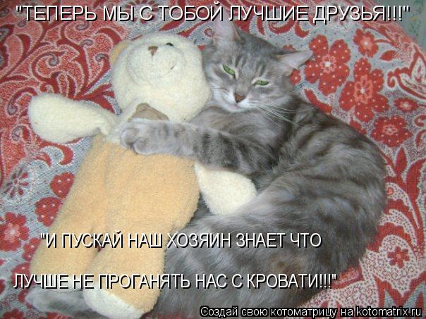 Котоматрица: "ТЕПЕРЬ МЫ С ТОБОЙ ЛУЧШИЕ ДРУЗЬЯ!!!" "И ПУСКАЙ НАШ ХОЗЯИН ЗНАЕТ ЧТО  ЛУЧШЕ НЕ ПРОГАНЯТЬ НАС С КРОВАТИ!!!"