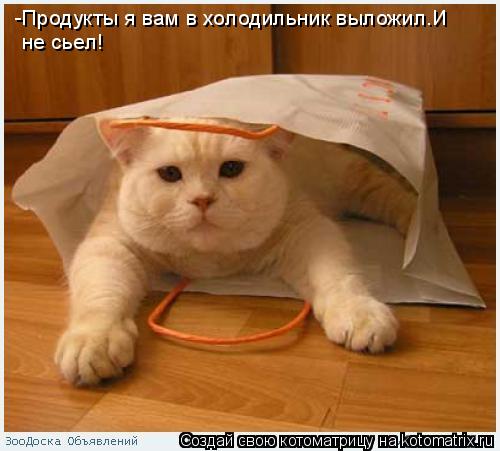 Котоматрица: -Продукты я вам в холодильник выложил.И не сьел!