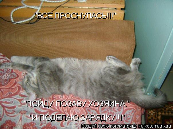 Котоматрица: "ВСЕ ПРОСНУЛАСЬ!!!" "ПОЙДУ ПОЗАВУ ХОЗЯИНА." "И ПОДЕЛАЮ ЗАРЯДКУ!!!"