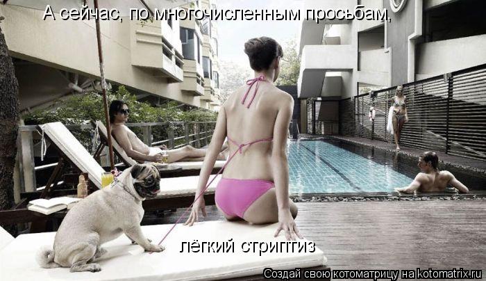 Котоматрица: А сейчас, по многочисленным просьбам,  лёгкий стриптиз