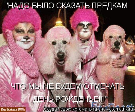 Котоматрица: "НАДО БЫЛО СКАЗАТЬ ПРЕДКАМ ЧТО МЫ НЕ БУДЕМ ОТМЕЧАТЬ ДЕНЬ РОЖДЕНЬЕ!!!"