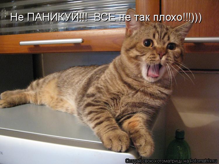 Котоматрица: Не ПАНИКУЙ!!!  ВСЕ не так плохо!!!)))