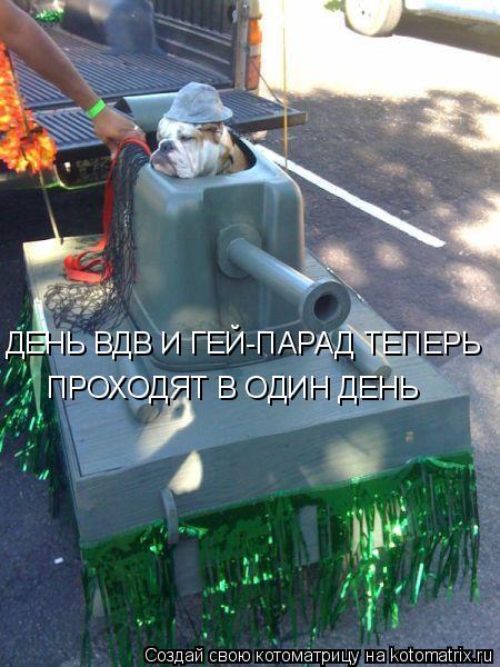 Котоматрица: ПРОХОДЯТ В ОДИН ДЕНЬ ДЕНЬ ВДВ И ГЕЙ-ПАРАД ТЕПЕРЬ
