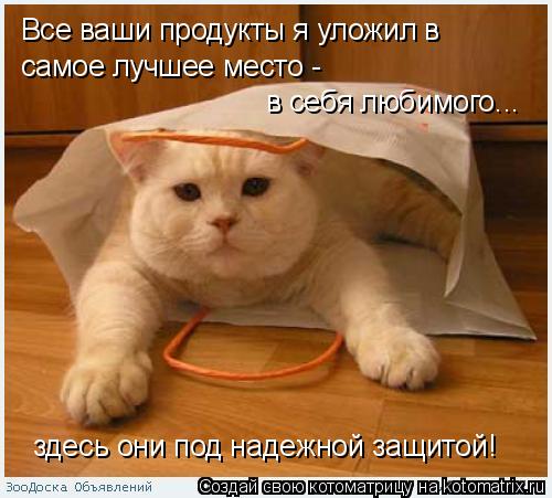 Все ваши продукты я уложил в самое лучшее место - в себя любимого... здесь они под надежной защитой!... Котоматрица: Все ваши продукты я уложил в самое лучшее место - в себя любимого... здесь они под надежной защитой!