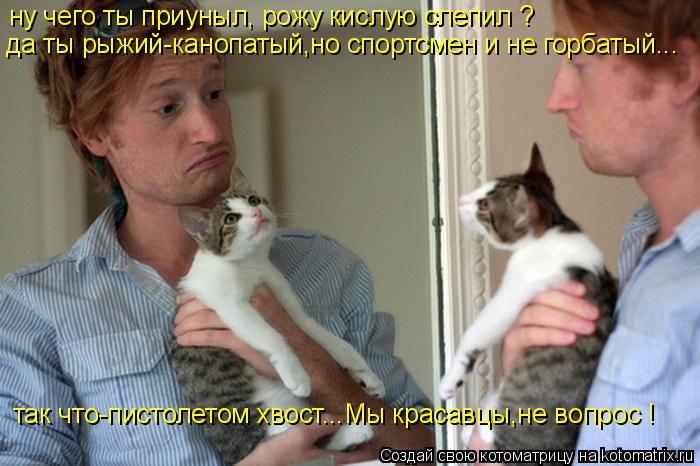 ну чего ты приуныл, рожу кислую слепил ? да ты рыжий-канопатый,но спортсмен и не горбатый... так что-... Котоматрица: ну чего ты приуныл, рожу кислую слепил ? да ты рыжий-канопатый,но спортсмен и не горбатый... так что-пистолетом хвост...Мы красавцы,не вопрос !