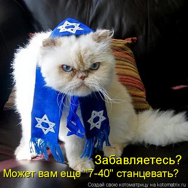 Котоматрица: Может вам еще "7-40" станцевать? Забавляетесь?