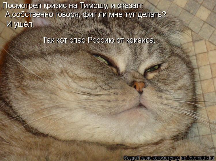 Посмотрел кризис на Тимошу, и сказал: А,собственно говоря, фиг ли мне тут делать? И ушёл. Так кот спа... Котоматрица: Посмотрел кризис на Тимошу, и сказал: А,собственно говоря, фиг ли мне тут делать? И ушёл. Так кот спас Россию от кризиса.