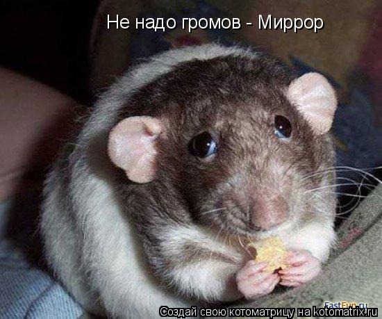 Не надо громов - Миррор... Котоматрица: Не надо громов - Миррор