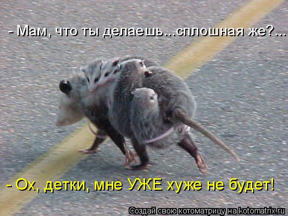 Котоматрица: - Ох, детки, мне УЖЕ хуже не будет! - Мам, что ты делаешь...сплошная же?...