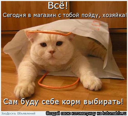 Всё! Сегодня в магазин с тобой пойду, хозяйка! Сам буду себе корм выбирать!... Котоматрица: Всё! Сегодня в магазин с тобой пойду, хозяйка! Сам буду себе корм выбирать!