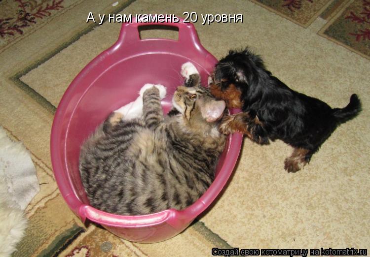 А у нам камень 20 уровня... Котоматрица: А у нам камень 20 уровня